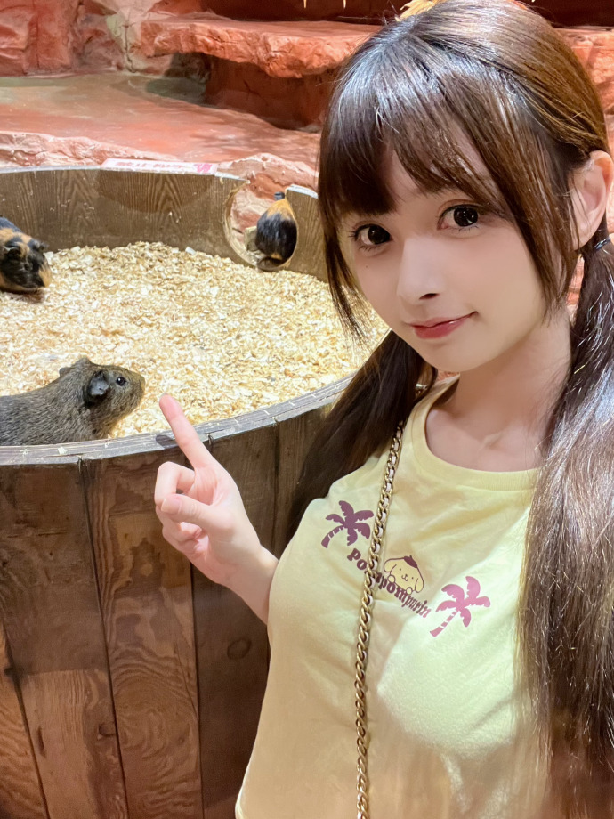 大明王朝1566