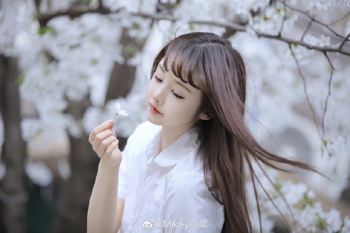 辩护人